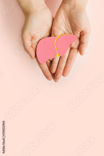 World hepatitis day. Womant hands holding donation liver on light pink background. Awareness of prevention and treatment viral hepatitis. Liver cancer. Vertically photo