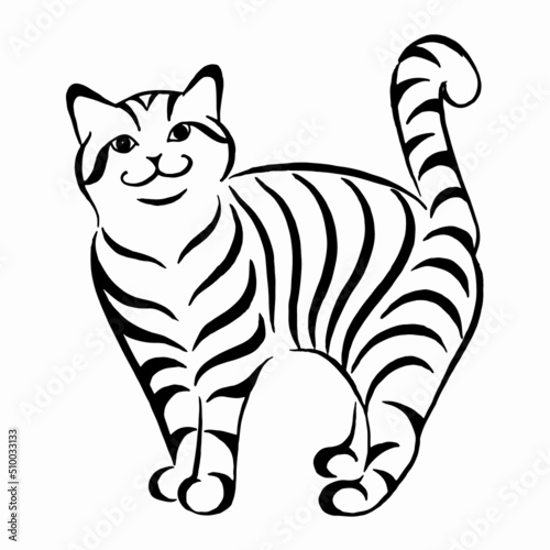 Vector illustration of cute striped black and white cat. Kitten linear drawing. Cat silhouette drawing by hand. Animal vector image. calligraphic illustration. Linear drawing.