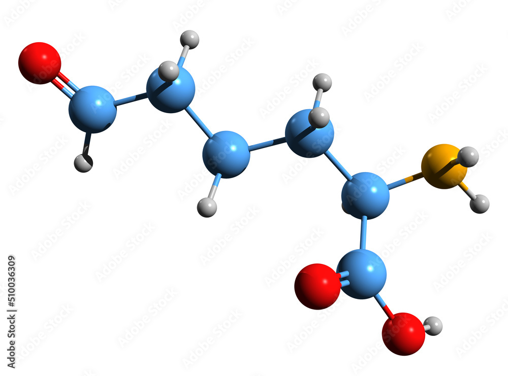 Fényképezés 3D image of Allysine skeletal formula - molecular chemical ...