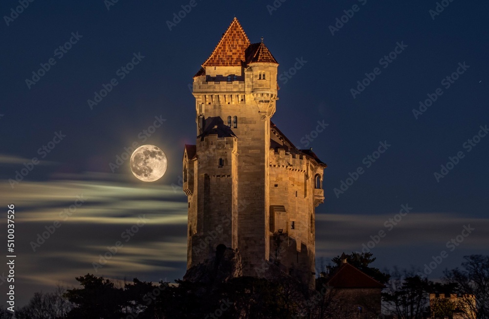 Burg Liechtenstein mit Vollmond