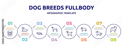 dog breeds fullbody concept infographic design template. included spider black widow, null, snowshoe cat, greyhound, afghan hound, english cocker spaniel, scold the dog, pomeranian icons and 8