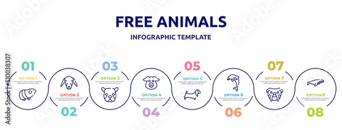 free animals concept infographic design template. included guinea pig heag, female sheep head, face of staring dog, pig head, dog with long ears, jumping dolphin, bulldog head, whale swimming icons