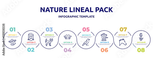 nature lineal pack concept infographic design template. included ghost, frankenstein, black cat, fangs, bird of black feathers, birds home, horse head, tulips icons and 8 option or steps.