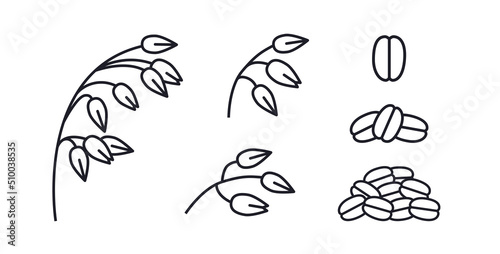 Oat plant ear and oatmeal symbol vector icon