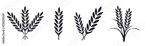 Rice and grain symbols agriculture farming plant icons