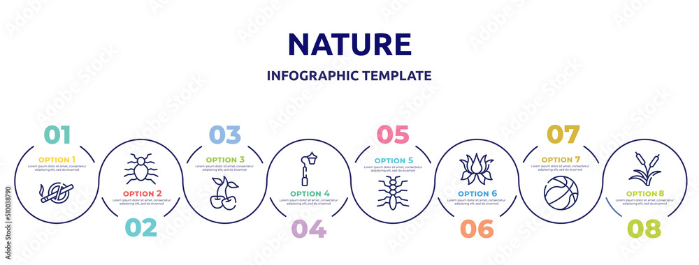 nature concept infographic design template. included no smoking, flea, cherry, streetlight, tree lobster, lotus flower, basketball ball, reeds icons and 8 option or steps. nature concept infographic design template. included no smoking, flea, cherry, streetlight, tree lobster, lotus flower, basketball ball, reeds icons and 8 option or steps.