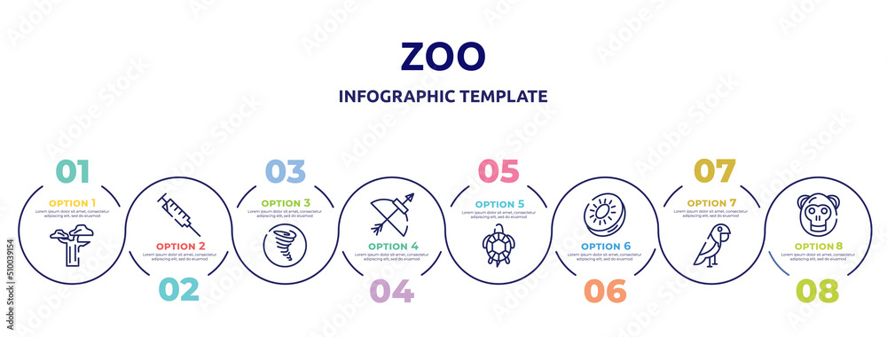 zoo concept infographic design template. included baobab, syringe, tornado, bow and arrow, tortoise, kiwi, parrot, orangutan icons and 8 option or steps.