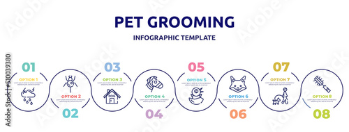 pet grooming concept infographic design template. included thunderstorm, spider, dog house, zebra, chick, fox, walking the dog, pet brush icons and 8 option or steps.