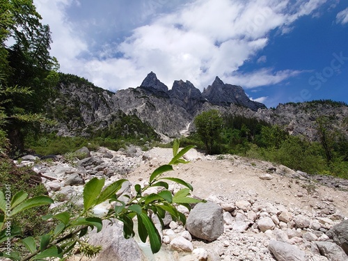 Urlaub in den Bergen photo