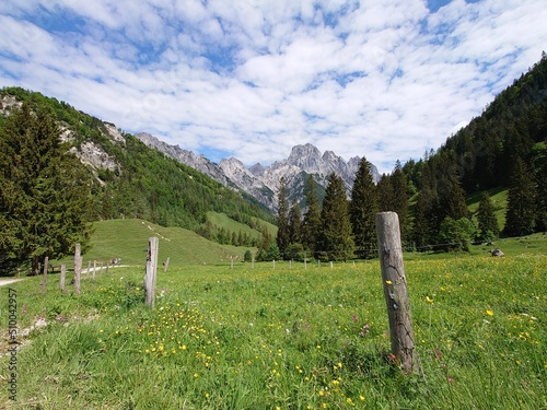 Urlaub in den Bergen photo