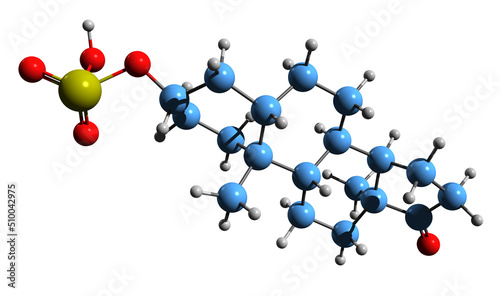 Fototapeta Naklejka Na Ścianę i Meble -   3D image of Androsterone sulfate skeletal formula - molecular chemical structure of endogenous steroid isolated on white background