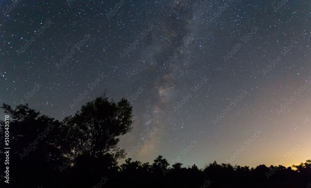 prairie silhouette under dark starry sky, night summer outdoor landscape