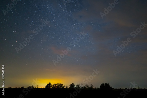 prairie silhouette under dark starry sky, night summer outdoor landscape