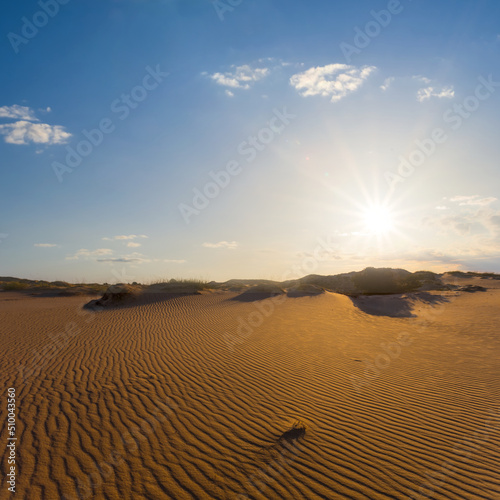 wide hot sandy desert at the sunset, wild natural background