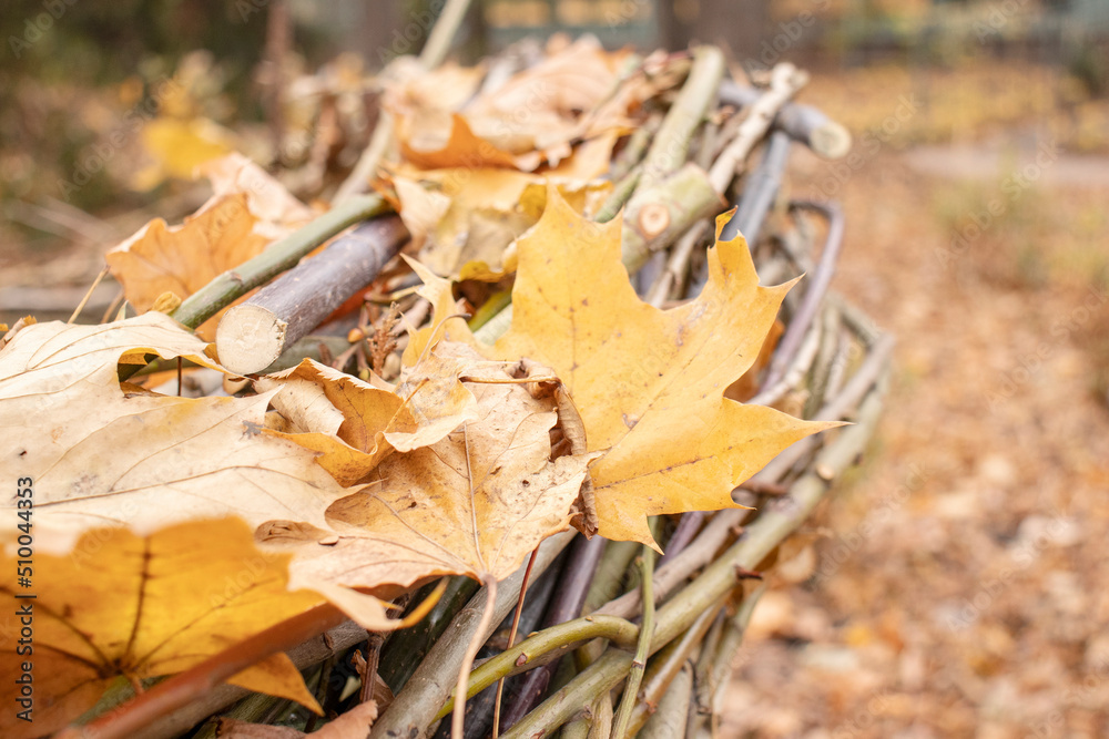 Yellow leaves in the park in autumn