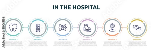 in the hospital concept infographic design template. included teeth, dna sequence, eye scanner medical, s, hospital placeholder, electrocardiogram report icons and 6 option or steps. photo