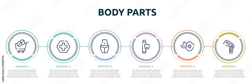 body parts concept infographic design template. included phareutical delivery, red cross, female hips and waist, toothpaste tube, 24 hours medical assistance, kneecap icons and 6 option or steps. body parts concept infographic design template. included phareutical delivery, red cross, female hips and waist, toothpaste tube, 24 hours medical assistance, kneecap icons and 6 option or steps.