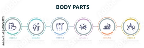 body parts concept infographic design template. included null, family of heterosexual couple, dentist tools, heart frequency, bar graph with a cross, lungs with the trachea icons and 6 option or