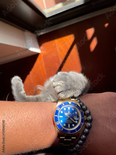 checking time luxury watch roly cat paw