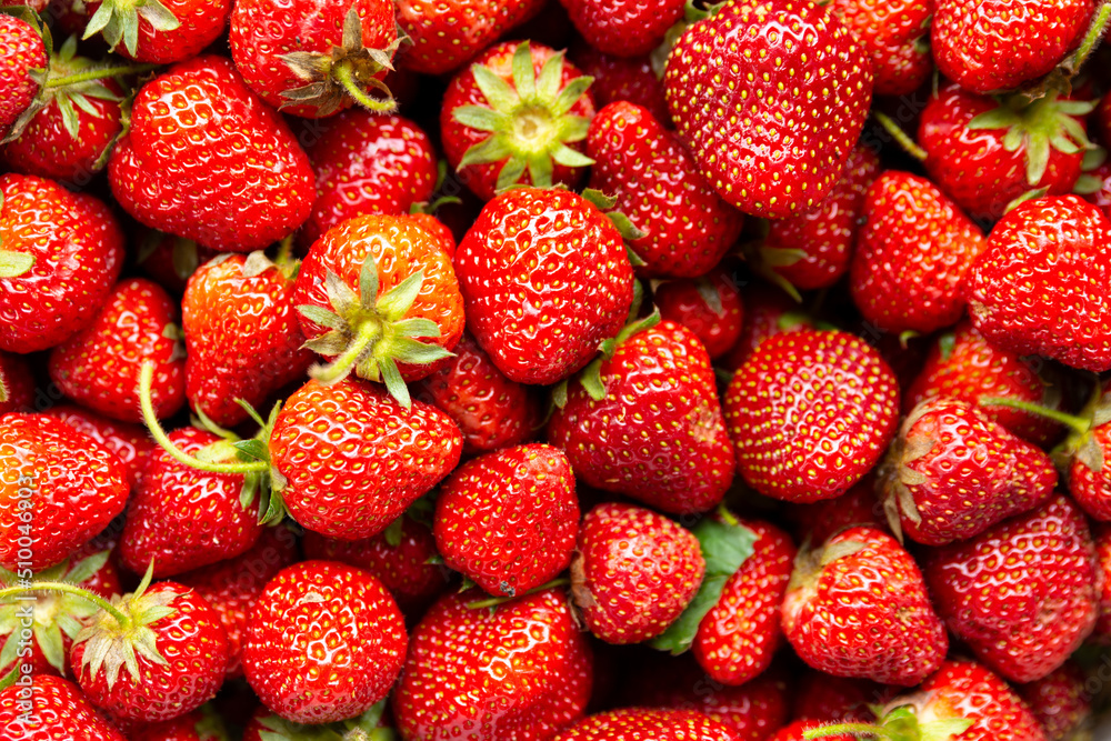 close up of many strawberries close up of many strawberries