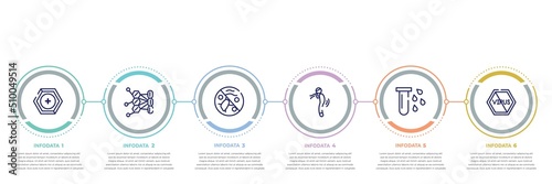 concept infographic design template. included prevention, allergy, antibacterial, difficulty breathing, blood, no virus icons and 6 option or steps.