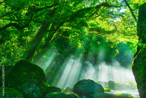 菊池渓谷（熊本県菊池市）