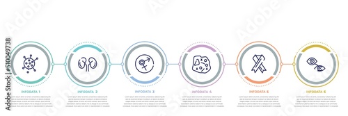 concept infographic design template. included flu, kidney, sexual transmitted disease, microorganism, aids, eyes icons and 6 option or steps.