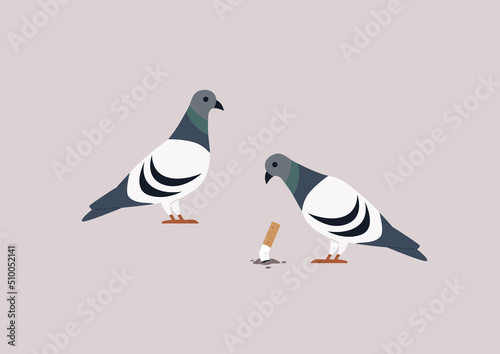 A pigeon pecking a crushed cigarette butt, unhealthy habits, a smoking concept