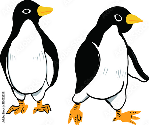 ２羽のアデリーペンギンが仲良く歩いている姿