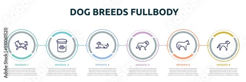 dog breeds fullbody concept infographic design template. included toyger cat, pet food, dog lying, st bernard, shetland sheepdog, springer spaniel icons and 6 option or steps.