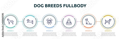 dog breeds fullbody concept infographic design template. included pharaoh hound, dog scaping, spider black widow, cat playhouse, yorkshire terrier, beagle icons and 6 option or steps.