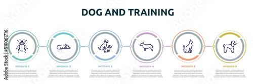 dog and training concept infographic design template. included asparagus beetle, sad dog, dog and doggie, bullterrier, egyptian cat, poodle icons and 6 option or steps.