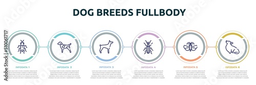 Foto dog breeds fullbody concept infographic design template