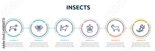 insects concept infographic design template. included kurzhaar, null, jack russel terrier, pet clothing, french bulldog, scorpio icons and 6 option or steps.