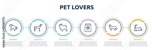 pet lovers concept infographic design template. included scold the dog, saluki, tibetan mastiff, treat, bernese mountain dog, laying cat icons and 6 option or steps.