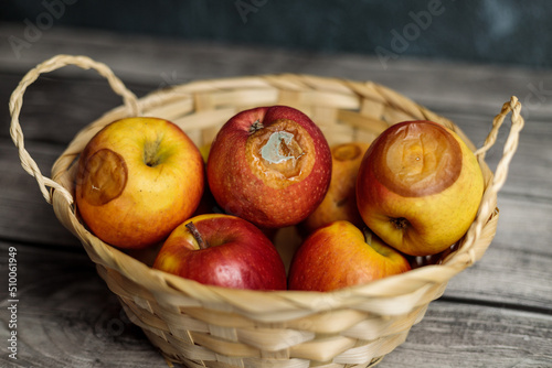 Rotten apples in the basket Bad harvest Hunger