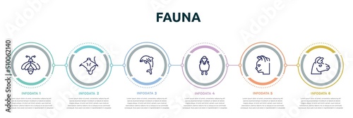 fauna concept infographic design template. included big bee, stingray with long tail, jumping dolphin, sheep front view, cat head, lama head icons and 6 option or steps.