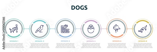dogs concept infographic design template. included man combing a dog, bird of black feathers, hotel building, bird in broken egg, hat for a jockey, dog smelling a bone icons and 6 option or steps.
