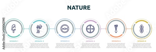 nature concept infographic design template. included , hunter, steering wheel, crosshair, onion, plankton icons and 6 option or steps.