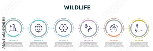 wildlife concept infographic design template. included relics, baboon, moss, flamingo, pearl, trap icons and 6 option or steps.