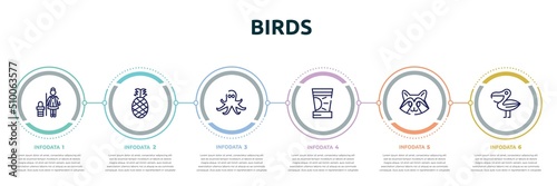 birds concept infographic design template. included cleaner, pine, octopus, sun cream, racoon, pelican icons and 6 option or steps.