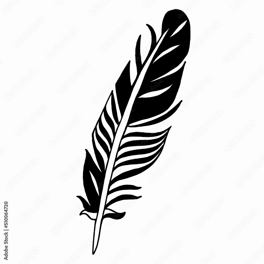 Bird feather from wing isolated. Isolated illustration element. Vector feather for background, texture, wrapper pattern, frame or border.