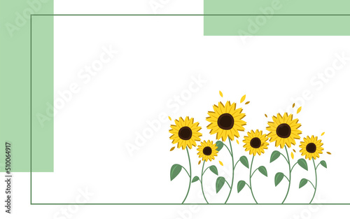 Banner with sunflowers as a symbol of freedom in Ukraine on white background.