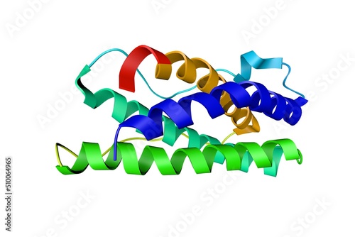 Crystal structure of the human leukemia inhibitory factor (LIF). Ribbons diagram based on protein data bank entry 1emr. Rainbow coloring from N to C. 3d illustration