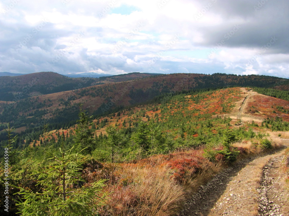 Fototapeta premium Autumn in the mountains