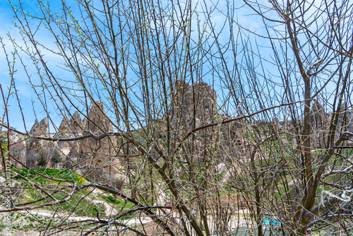 Uchisar castle view behind tree branches in Cappadocia, Uchisar, Turkey. Selectiive focus on branches.