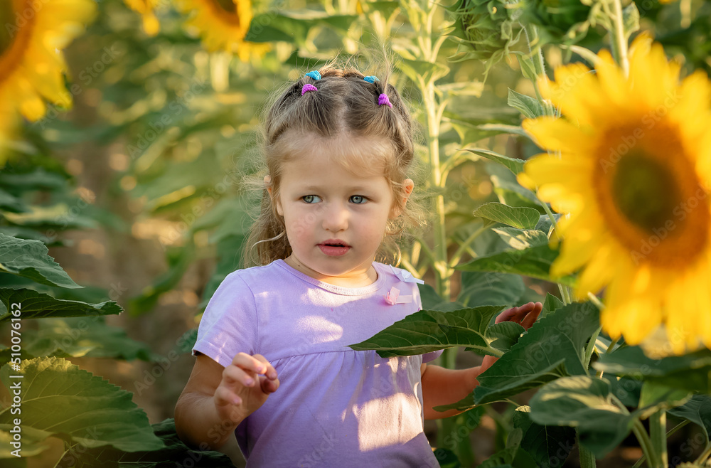 Portrait of little girl in the field of sunflowers Portrait of little girl in the field of sunflowers