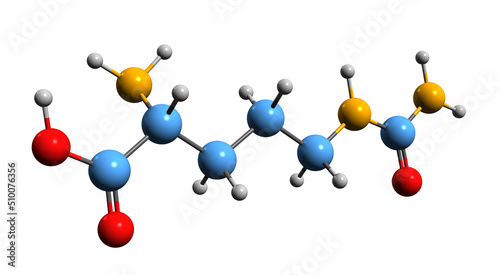  3D image of Citrulline skeletal formula - molecular chemical structure of amino acid isolated on white background
 photo
