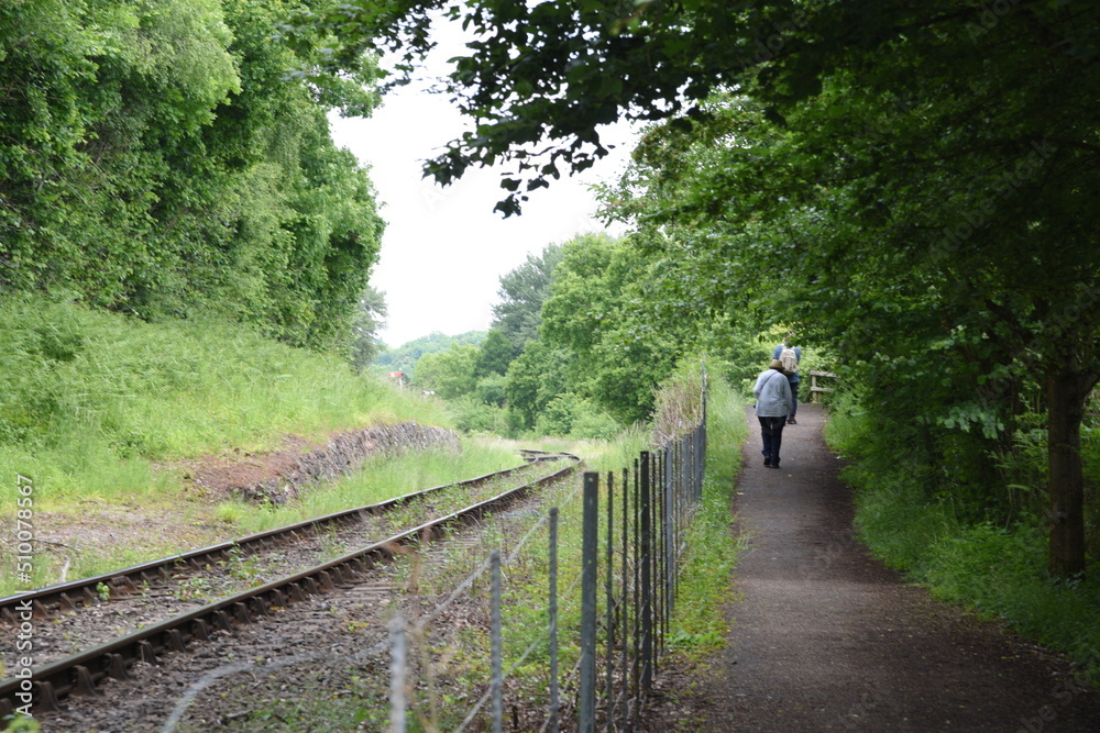 old railway track going though the forest	