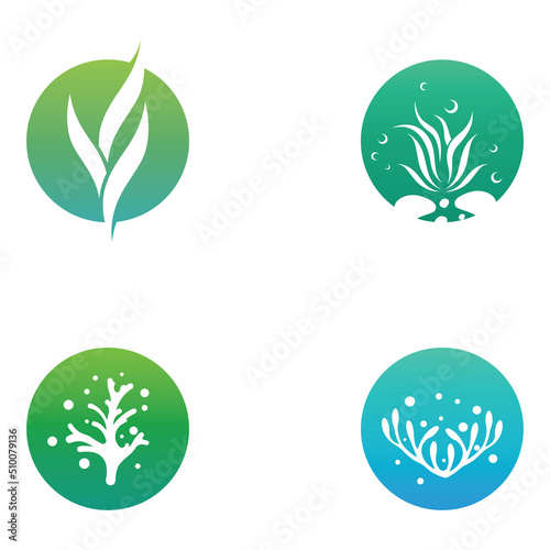 Seaweed logo with template illustration vector design.
